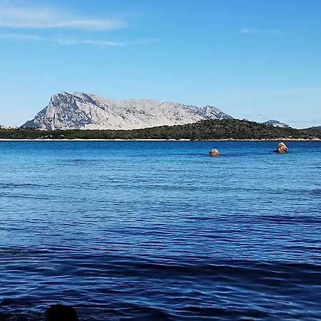 Trilo Lu Rattali Vakantiehuis San Teodoro (Sardinia)