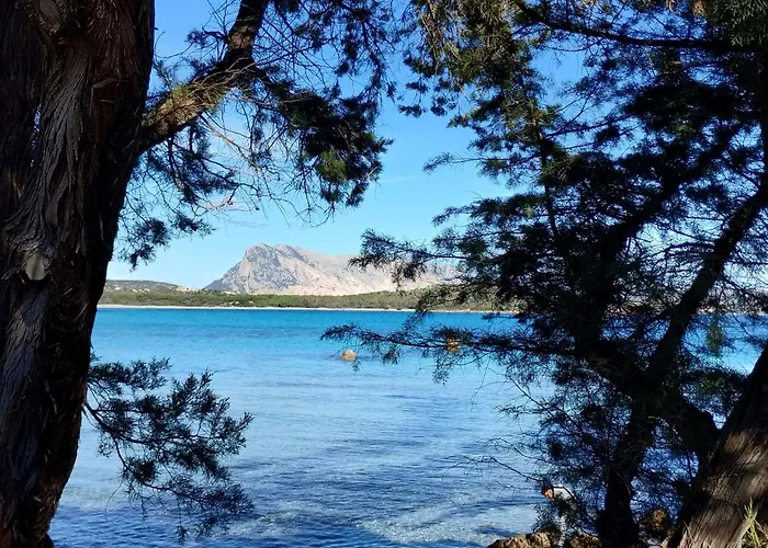 Trilo Lu Rattali * San Teodoro (Sardinia)