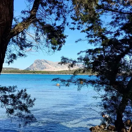 Trilo Lu Rattali * San Teodoro (Sardinia)